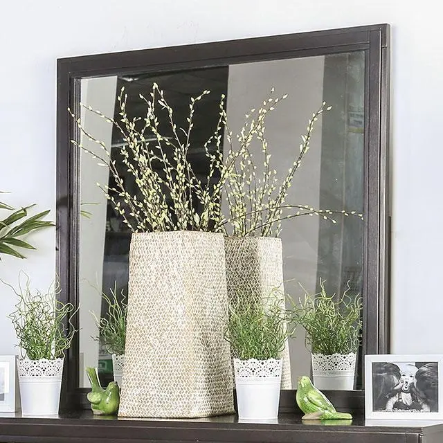 Berenice Espresso Wood-Framed Mirror