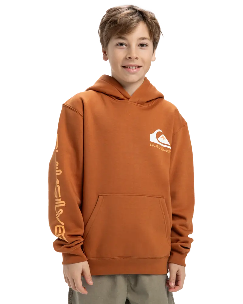 Boys’ Bran Omni Logo Graphic Hoodie