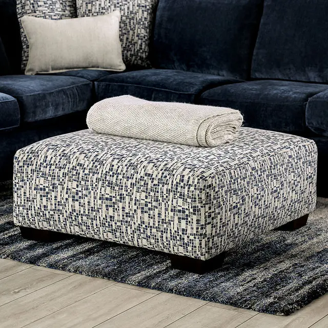 Darlington Faux Leather Storage Ottoman