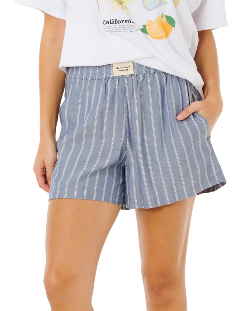 Dusty Blue Beach Days Pinstripe Shorts