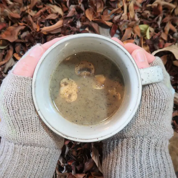 Feed the Hike Hearty Wild Mushroom Soup