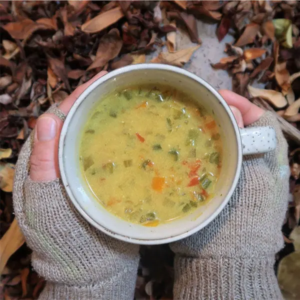 Feed the Hike Vegetable Curry Soup – Ready-to-Prepare Meal