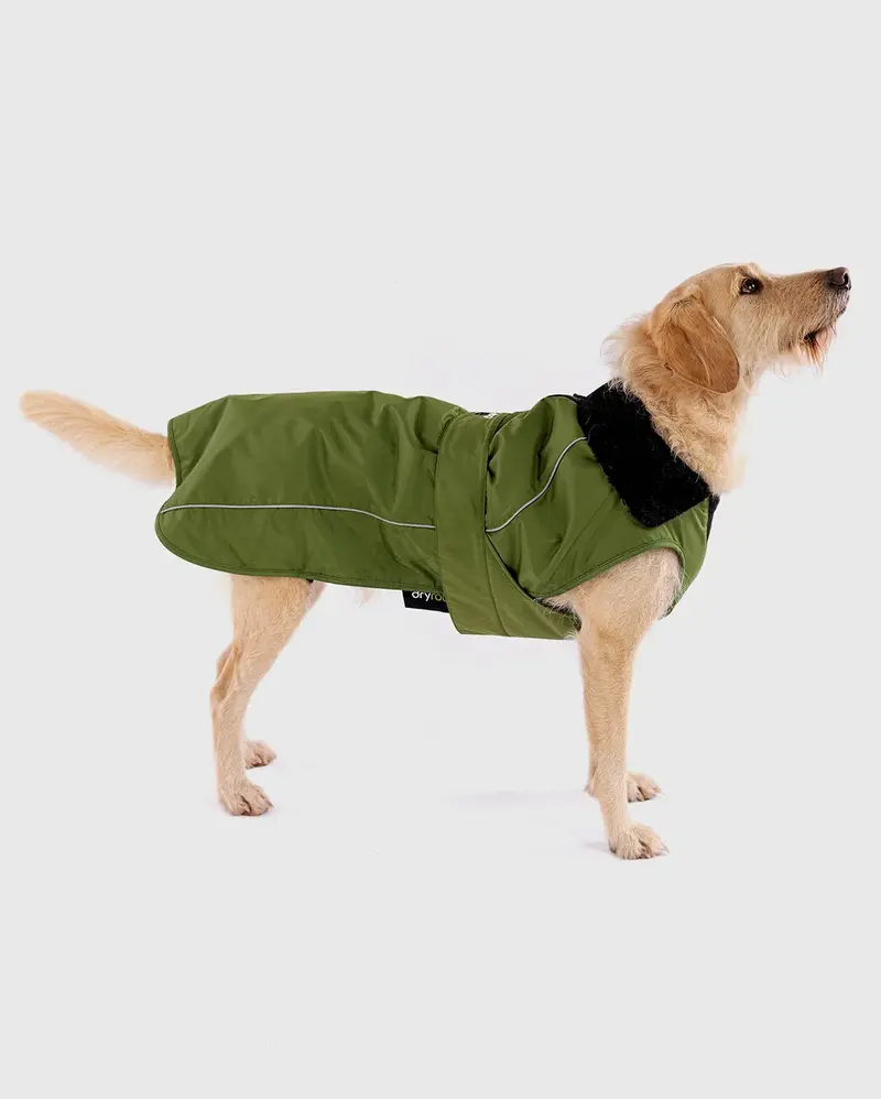 Forest Green and Black Dog Dryrobe for Post-Walk Drying