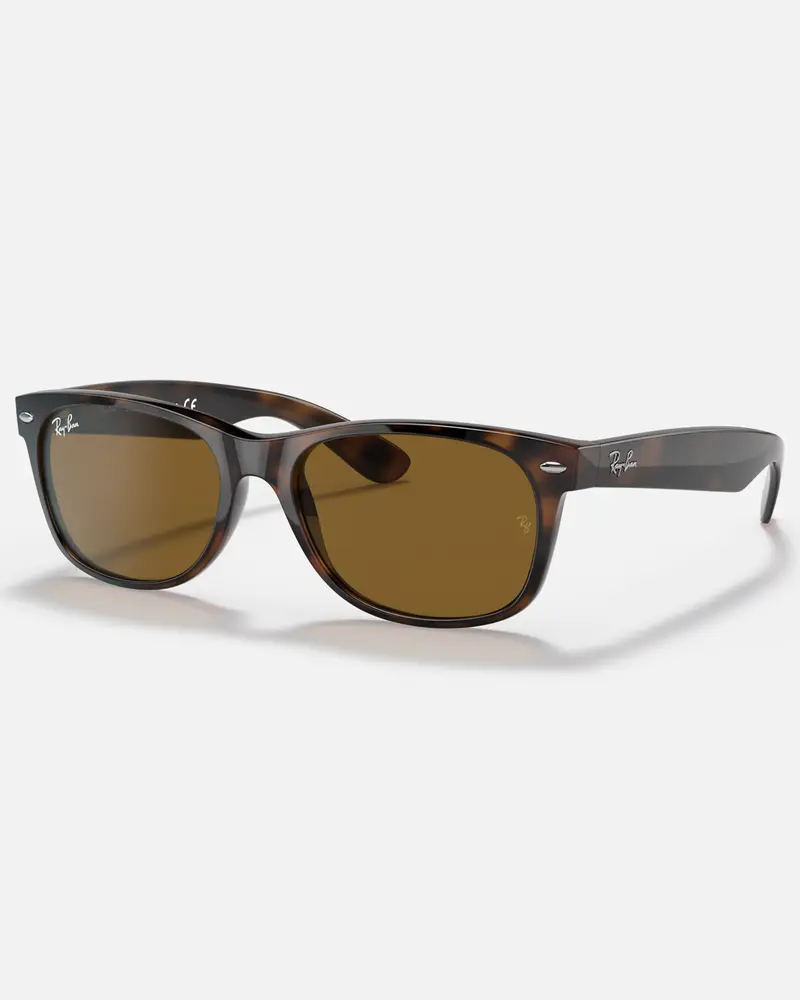 New Wayfarer Brown-Tone Sunglasses