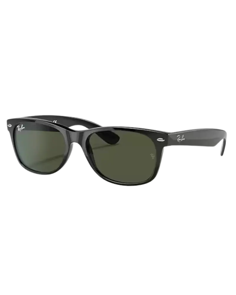 New Wayfarer Matte Black Sunglasses