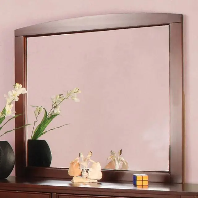 Omnus Cherry Vanity Mirror with Beveled Edge