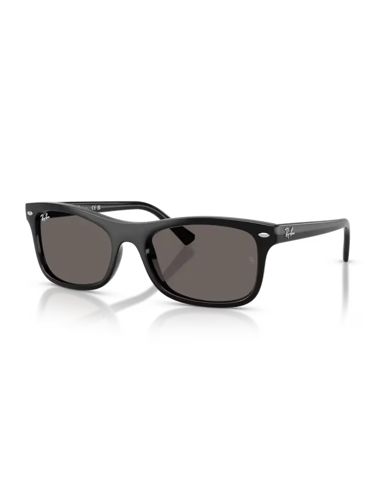 Polished Black and Dark Grey RB2226 Sunglasses