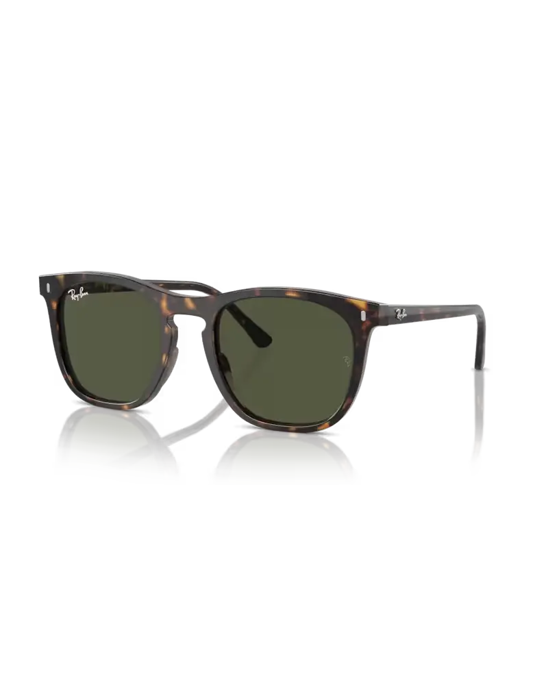 Polished Havana and Green RB2210 Sunglasses