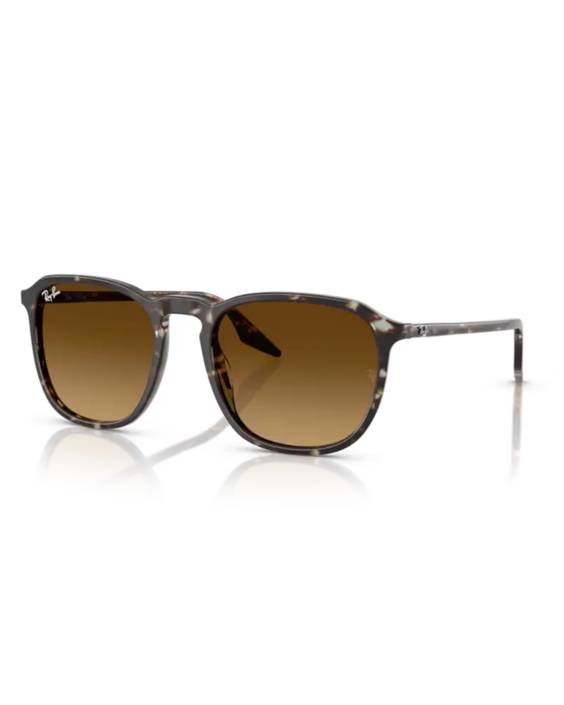 Ray-Ban RB2203 Sunglasses – Polished Yellow-Havana Tortoiseshell Frame