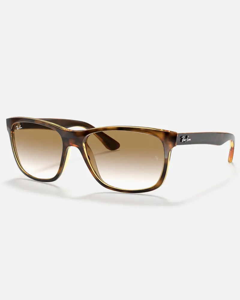 Ray-Ban RB4181 Brown Sunglasses