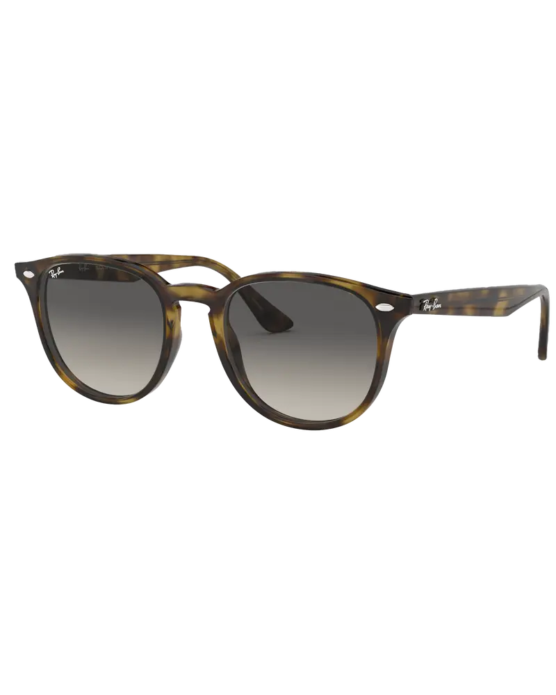 Ray-Ban RB4259 Grey Sunglasses