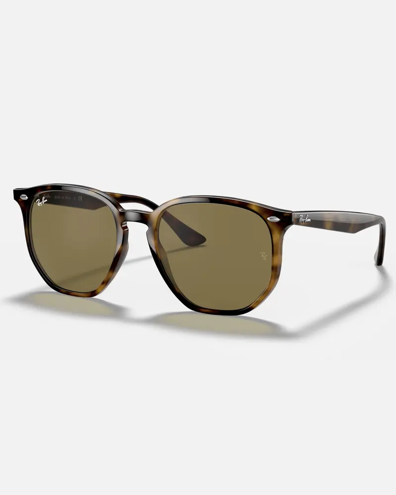 Ray-Ban RB4306 Brown Sunglasses