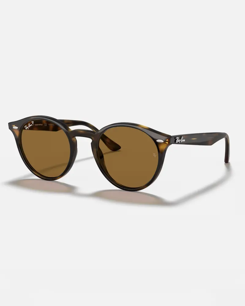 RB2180 Dark Brown Vintage-Style Sunglasses