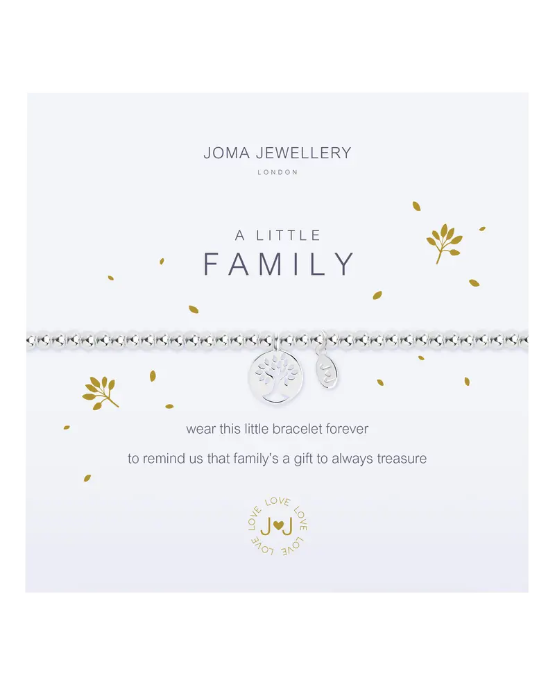 Silver Family Bond Bracelet