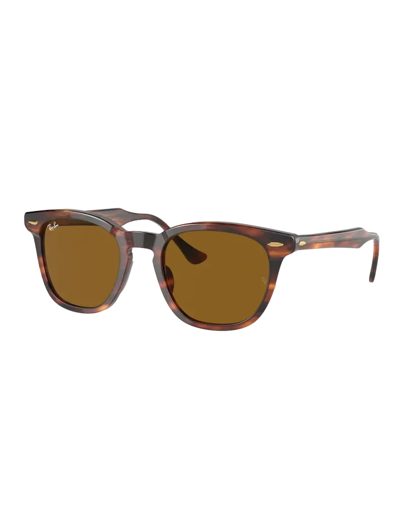 Striped Havana Hawkeye Sunglasses