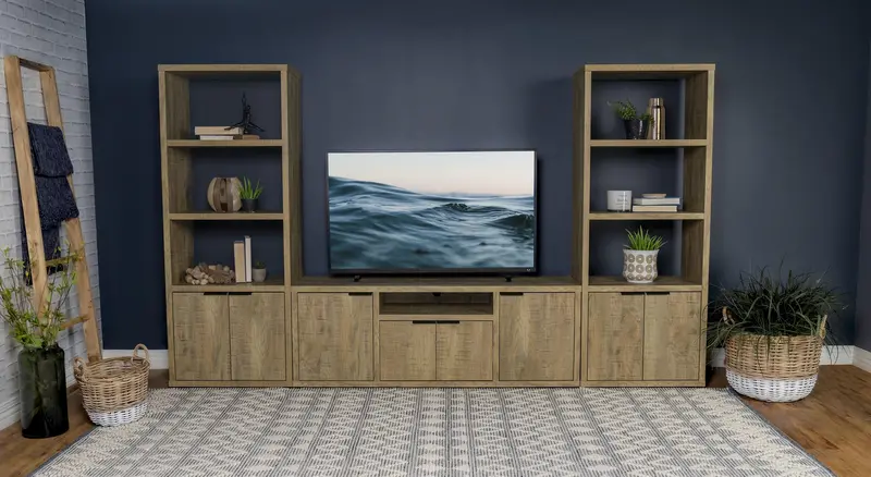 Tabby Multi-Functional Entertainment Center with Open Shelving and Concealed Storage