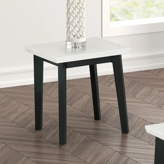 Thisted Square Marble-Topped End Table with Metallic Frame